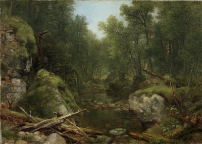 Chapel Pond Brook、キーンフラッツ、アディロンダックマウンテンズ、ニューヨーク、1870 作： Asher Brown Durand